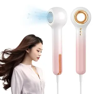 Hair Styling Tools Brushless Motor Hollow Halo Ionic For Fast Drying Low Noise Reduce Frizz Professional High Speed Hairdryer
