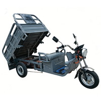 Tricycle Électrique 60V 1000W Personnalisé à 3 Roues pour Adultes, Type Camionnette Benne Basculante, avec Plateforme de Chargement pour Camping et Transport de Marchandises