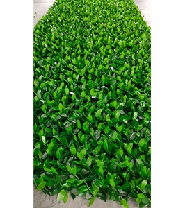Rollo de Cerca Artificial de Setos Verdes para Jardín, Balcón, Terraza, Decoración de Paredes Exteriores, Resistente a los Rayos UV - Product Image 4