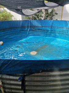 Réservoirs durables en PVC FRP et tôle galvanisée Cage à poissons d'étang à poissons en plastique pour l'élevage de poissons Tilapia Équipement d'aquaculture - Product Image 2