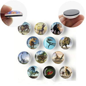 FQ villes du monde Pot en polyrésine aimants transparents 50mm Souvenir Pvc calendrier fournitures londres dinosaure réfrigérateur aimant - Product Image 6