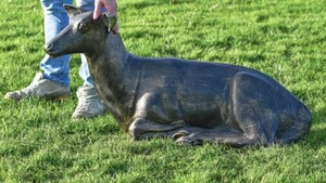 Estatua de Reno de bronce, suministros de jardín, escultura de Navidad de Reno de bronce hecha a mano, decoración de granja al aire libre, ciervo antiguo sentado - Product Image 3