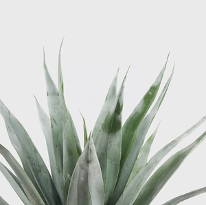 Decorativa árbol <span class=keywords><strong>falso</strong></span> <span class=keywords><strong>Agave</strong></span> venta al por mayor de la fábrica al aire libre árbol 70cm - Product Image 4