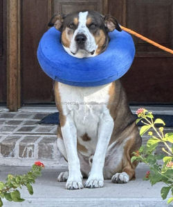 Factory Inflatable <b>Soft</b> Pet <b>Dog</b> <b>Cone</b> Collar Alternative After Surgery Neck Recovery Collar <b>Cone</b> <b>for</b> Small Medium Large <b>Dogs</b> Cats - Product Image 4