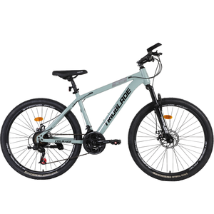 <b>Cheap</b> Price Hot Sale Men Mountain Bike Steel Body Disc Outdoor Sports Cycling for Adult Daily Commute - Product Image 2