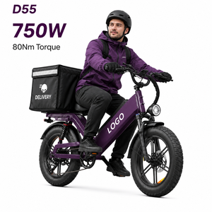 จักรยานบรรทุกไฟฟ้า D55 750W 48V 55AH ยางขนาด 20 นิ้ว พร้อมระบบช่วยปั่น จักรยานส่งของแบบมีโช้คอัพเต็มระบบและดิสก์เบรก - Product Image 1