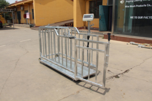 Machine portable de pesage et de regroupement des veaux - Product Image 6