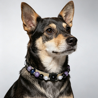 Collier réglable en cuir PU pour animaux de compagnie avec perles œil de tigre et cristaux – Accessoire quotidien pour chats et chiens