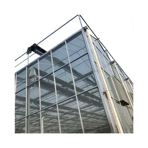 Agricultural Vegetable Tunnel Multi-Span Glass Greenhouse For Farming Agricultural Vegetables Flowers Tomato