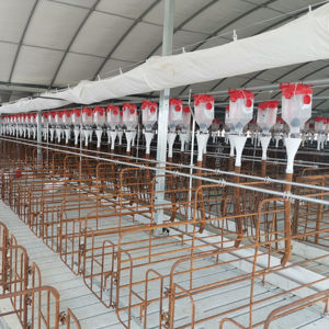 แผงให้อาหารอัตโนมัติแบบเรียบง่ายการออกแบบแบบครบวงจรสำหรับฟาร์มหมูให้ผลตอบแทนสูงแผงขายอาหารแบบอัตโนมัติมีโครงสร้างที่เรียบง่ายมีประสิทธิภาพและสภาพใหม่ - Product Image 1