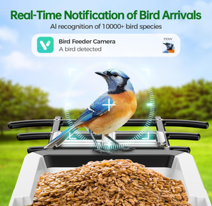 Автоматическая беспроводная умная кормушка для птиц с HD-камерой 3 МП, ночным видением, поддержкой TF-карт, современный дизайн, пластиковая конструкция - Product Image 2