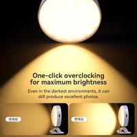 Lampe d'appoint rechargeable portable mini pour selfie, idéale pour téléphone, tablette et ordinateur portable