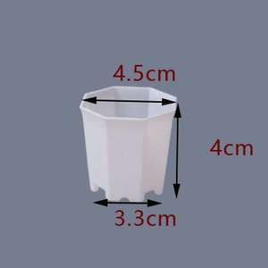 Mini <span class=keywords><strong>maceta</strong></span> cuadrada octogonal, <span class=keywords><strong>maceta</strong></span> suculenta blanca, herramienta de jardinería para plantas en <span class=keywords><strong>maceta</strong></span> para plántulas - Product Image 2