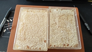 100% Reiner Roher Honigwaben-Frischhonig, Bio-Wildhonig in Lebensmittelqualität, Großpackung, Neue Ernte, Bienenprodukt - Product Image 2