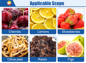 <strong>Automatic</strong> Soup Boiling Cooking Making Machine/strawberry Jam Cooking Pot/vacuum Jacket Cooker With <strong>Stirrer</strong> for Jam - Product Image 5