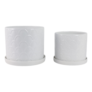 Vasi decorativi con design a conchiglia e sottovasi per piante da interno ed esterno, succulente ed erbe aromatiche, eleganti - Product Image 4