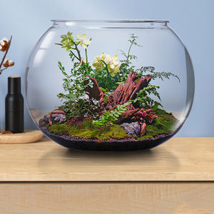 كوب مستدير لسطح المكتب من البولي كربونات, كوب زجاجي مستدير من البولي كربونات ، وعاء إبداعي صغير للزينة ، حوض سمك بيئي صغير - Product Image 3