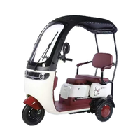Tricycle électrique à trois roues 800w personnalisé moto pour adultes corps ouvert 60v tension acier EEC/DOT passager