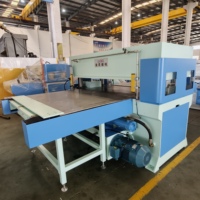 Machine de découpe planaire hydraulique à quatre colonnes de précision avec alimentation automatique double face XYJ-3/120 pour carton
