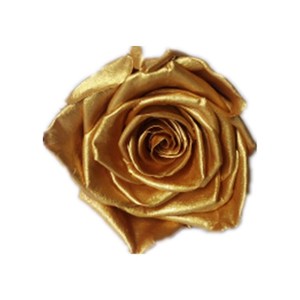Têtes de roses de 5 à 6 cm, roses dorées réelles et naturelles, conservées, tête de rose dorée éternelle - Product Image 1