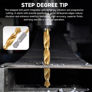 مجموعة مثاقب فولكان متدرجة الحجم لحفر ثقوب متعددة، بساق سداسي 3/<span class=keywords><strong>8</strong></span> بوصة، مطلية بالتيتانيوم، تثقب المعادن والخشب، للبيع بالجملة - Product Image 6
