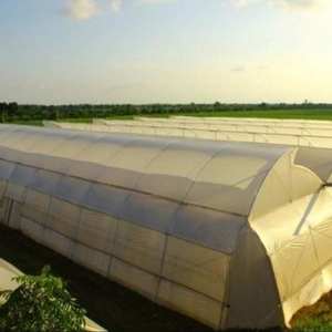 Película <span class=keywords><strong>de</strong></span> Plástico Agrícola Especial con Aislamiento Térmico IR, Película Amarilla para Invernadero PO - Product Image 4