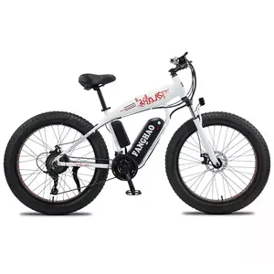 2022 큰 타이어 지방 전기 자전거 1000w ebike 1500w 48v 전기 자전거 26*4.0 지방 타이어 전기 자전거 성인