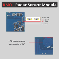 Module capteur à succès : Détecteur radar micro-ondes 5.8G avec temporisation 30s/60s et activation/déactivation automatique pour éclairage LED (DC5V/12V/24V)