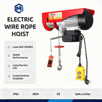 Mini-treuil électrique sans fil monophasé 110V 220V certifié CE, antirouille, 100 kg, pour la maison, l'entrepôt, l'atelier
