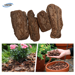 Substrato de Cultivo para Orquídeas e Dendrobium Officinale: Casca de Pinheiro Orgânica Polida e Fermentada para Paisagismo (Cacos de Casca) - Product Image 2