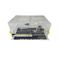 Cages à Cailles Commerciales à Prix Abordable pour l'Élevage de Cailles avec Système d'Abreuvement Automatique