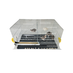 Cages à Cailles Commerciales à Prix Abordable pour l'Élevage de Cailles avec Système d'Abreuvement Automatique - Product Image 3