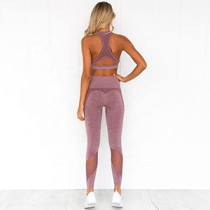 Las mujeres 2 piezas sin costura Leggings y sujetador Rosa Conjunto de Trabajo No marca Vetements las mujeres ropa deportiva - Product Image 2