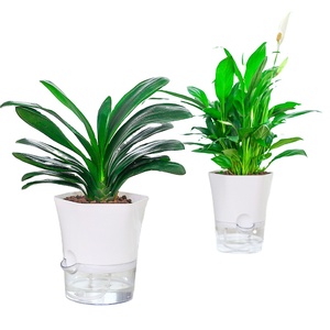 TCX092409 Cheap For Sale Indoor Office Round Hydroponic Transparent Clear Succulents Planter Self Watering Plastic Flower Pots