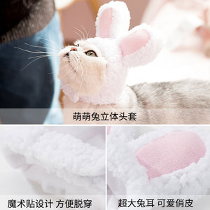 Chapeau à oreilles de lapin pour chat, bandeau doux de dessin animé pour animaux de compagnie, style printemps - Product Image 5