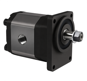 Motor Hidráulico de Engranajes Personalizado Profesional GM GP GR GH GS GT GV GWD de Baja Velocidad y Alto Torque - Product Image 4