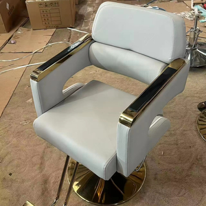 Silla de Peluquería Moderna y Sencilla para Cortar y Teñir el Cabello, para Peluquería, Barbería y Salón, Metálica, Plegable, para Uso Escolar y al Aire Libre - Product Image 1