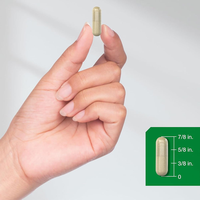 Capsules de Maca Pure pour Hommes – Complément Herbal à Succès pour la Santé Adulte, Favorisant la Libido Naturelle, l'Énergie et le Soutien Thyroïdien