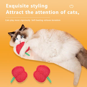 Juguete para Gatos de Esponja de Lufa con Forma de Manzana, para Masticar y Limpiar los Dientes, para el Autoentretenimiento y el Alivio del Aburrimiento, Palo para Gatos, Suministros para Mascotas Transfronterizos - Product Image 3