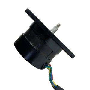 Motor CC sin escobillas 63BLS de 63 mm con montaje de brida, 50 W, 36 V, motor de imán permanente - Product Image 1