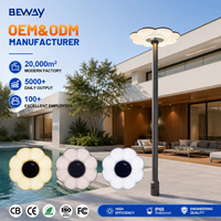 Vente directe d'usine de lampadaires à LED solaires pour jardin, plusieurs températures de couleur, garantie de deux ans, 100, 200, 300 watts