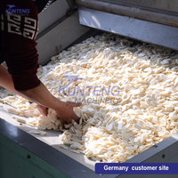 Continue Productie Yam Cassave Peeling En Drogen Machine Kast Tunnel Droger Cassave Chips Droger Machine