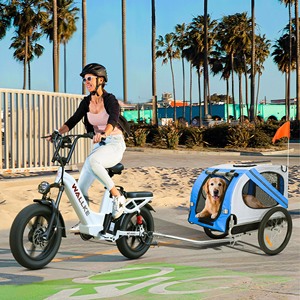 Vélo électrique pliable H7 Step Thru avec batterie 55Ah, freins à disque hydrauliques à quatre pistons haute vitesse, moteur de moyeu avant H7 2025 - Product Image 4