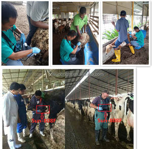 Máquina de ultrasonido portátil de mano, Sun-808F, BW, gran calidad, ecografo portátil, veterinario, uso médico, <span class=keywords><strong>ultra</strong></span> sonido - Product Image 6