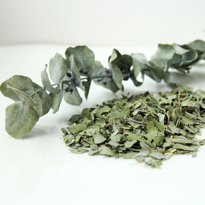 1 kg de feuilles d'<span class=keywords><strong>eucalyptus</strong></span> séchées biodégradables, 100 % naturelles, en vrac, feuilles d'<span class=keywords><strong>eucalyptus</strong></span> vertes rondes, pétales, confettis - Product Image 5