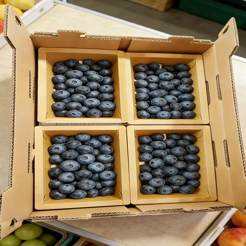 Modified Atmosphere Tray Les Barquettes En Carton Cardboard Heat Sealed Fresh Produce Paper Tray