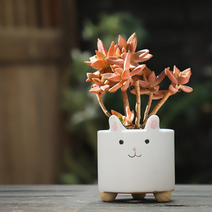 Macetas de Suculentas Pintadas <span class=keywords><strong>a</strong></span> <span class=keywords><strong>Mano</strong></span> de Estilo Zakka, Adorables Macetas de Cerámica con Diseño de Animales de Dibujos Animados, Éxito de Ventas Transfronterizo - Product Image 2