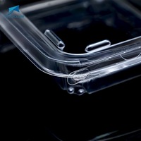 Vente en gros en usine de boîtes d'emballage à biscuits à clapet transparentes jetables pour animaux de compagnie boîtes à salade blister en plastique transparent