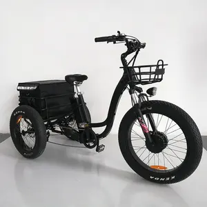 Bike-bicicleta eléctrica de carga de 20 pulgadas, triciclos eléctricos de neumático ancho para motocicleta