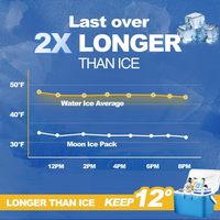 Pack de glace sèche en gel pour glacière alimentaire jetable en plastique personnalisable avec logo, feuille de congélation pour glacière à lunch